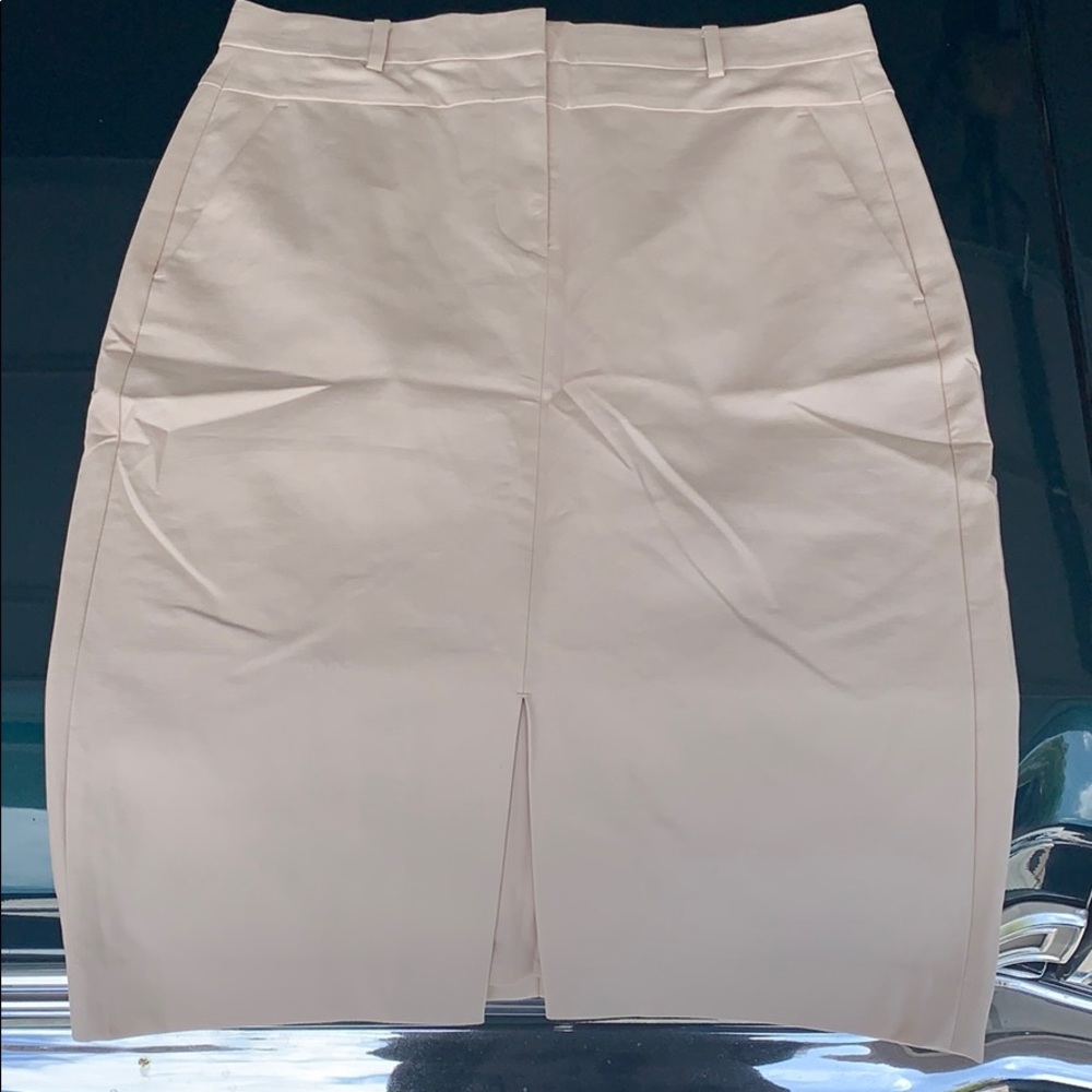 Ann Taylor Pencil Skirt